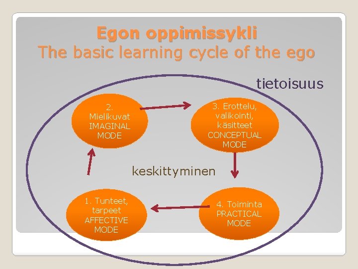 Egon oppimissykli The basic learning cycle of the ego tietoisuus 2. Mielikuvat IMAGINAL MODE