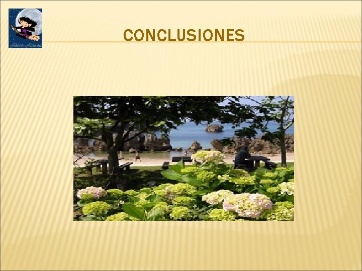 CONCLUSIONES 