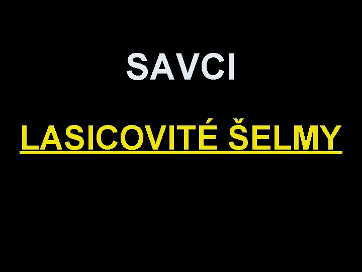 SAVCI LASICOVITÉ ŠELMY 