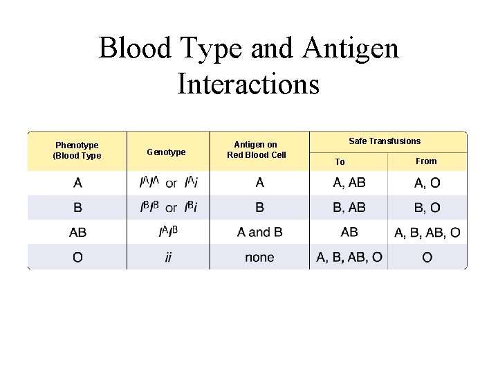 Figure 14 -4 Blood Groups Blood Type and Antigen Interactions Section 14 -1 Phenotype