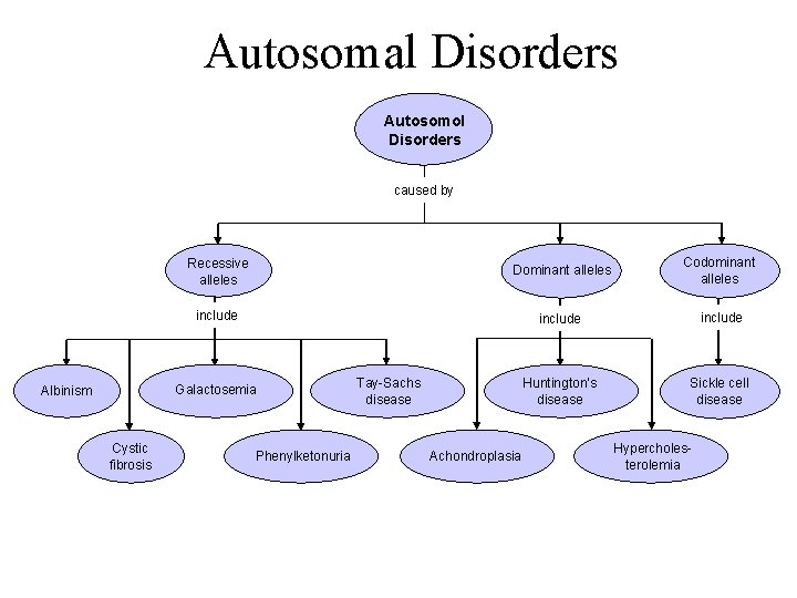 Section 14 -1 Autosomal Disorders Autosomol Disorders caused by Recessive alleles Dominant alleles Codominant