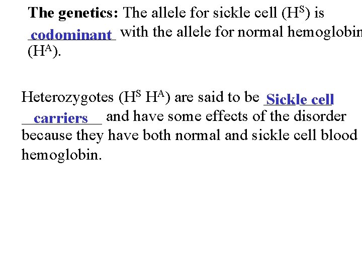 The genetics: The allele for sickle cell (HS) is ______ with the allele for