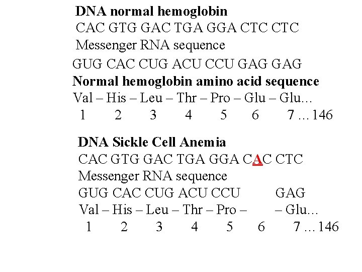DNA normal hemoglobin CAC GTG GAC TGA GGA CTC Messenger RNA sequence GUG CAC