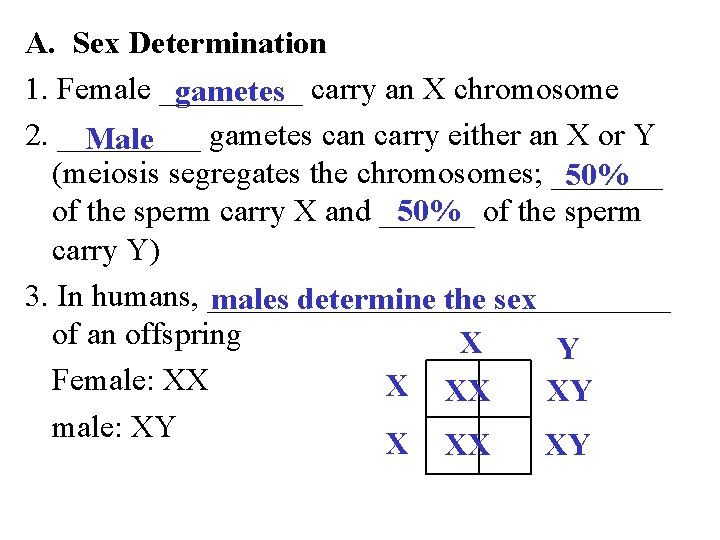 A. Sex Determination 1. Female _____ carry an X chromosome gametes 2. _____ gametes