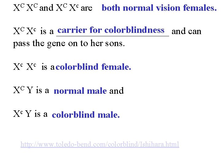 XC XC and XC Xc are both normal vision females. carrier for colorblindness XC