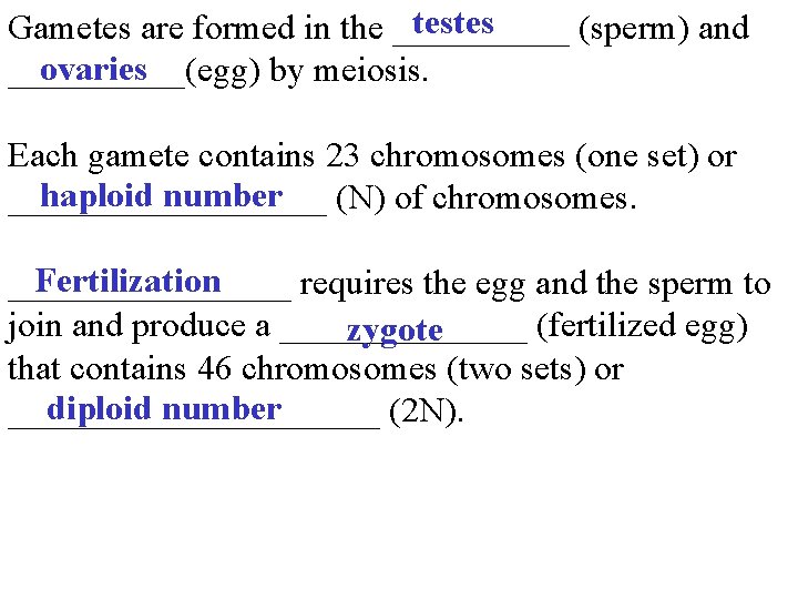 testes Gametes are formed in the _____ (sperm) and ovaries _____(egg) by meiosis. Each