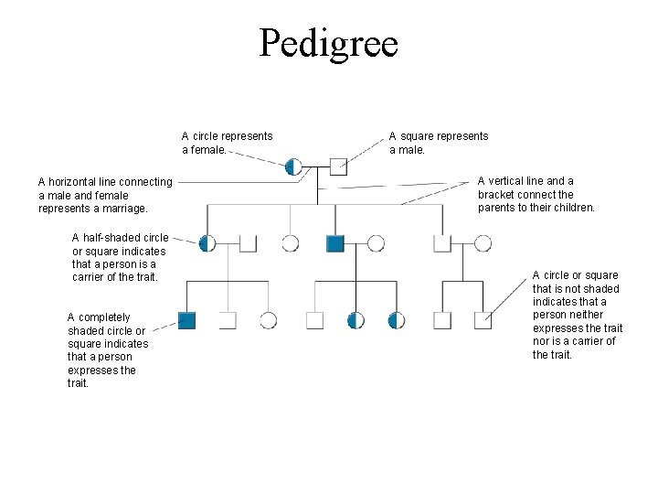 Figure 14 -3 A Pedigree Section 14 -1 Pedigree A circle represents a female.