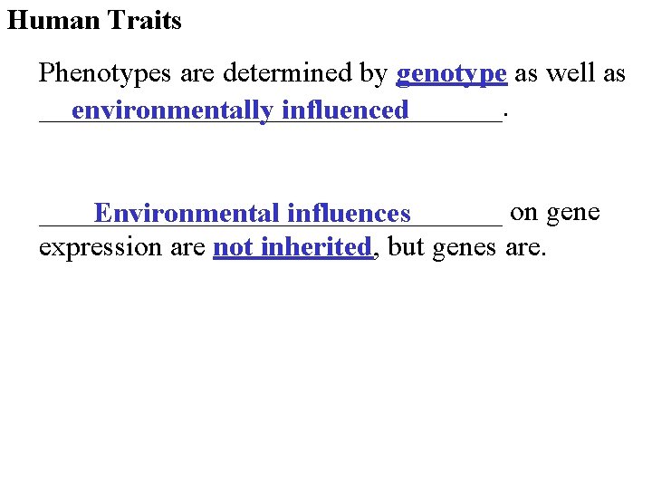 Human Traits Phenotypes are determined by genotype as well as ________________. environmentally influenced ________________