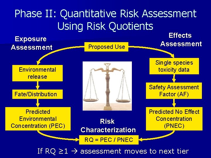 Phase II: Quantitative Risk Assessment Using Risk Quotients Exposure Assessment Proposed Use Single species