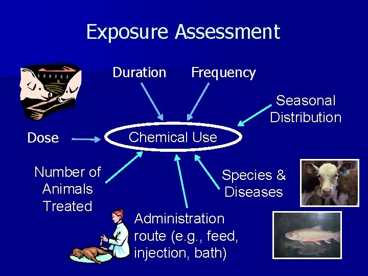 Exposure Assessment Duration Frequency Seasonal Distribution Dose Number of Animals Treated Chemical Use Species