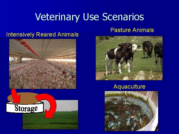Veterinary Use Scenarios Intensively Reared Animals Pasture Animals Aquaculture 
