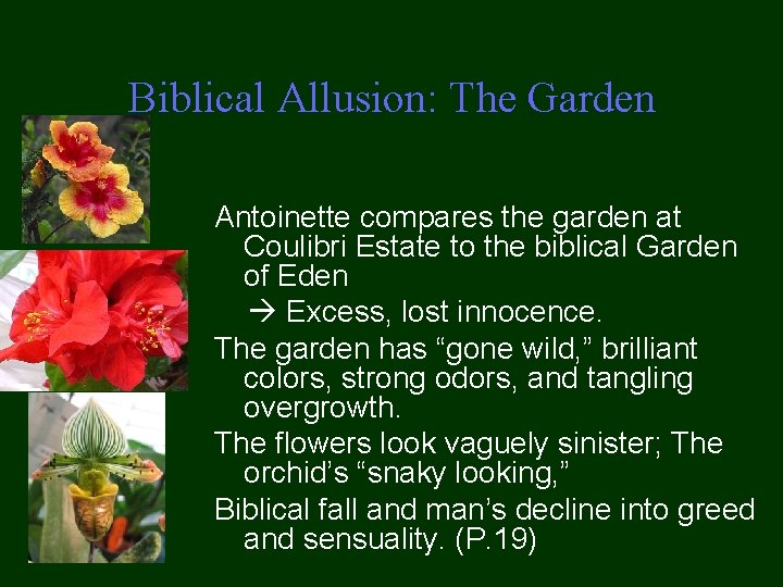 Biblical Allusion: The Garden Antoinette compares the garden at Coulibri Estate to the biblical