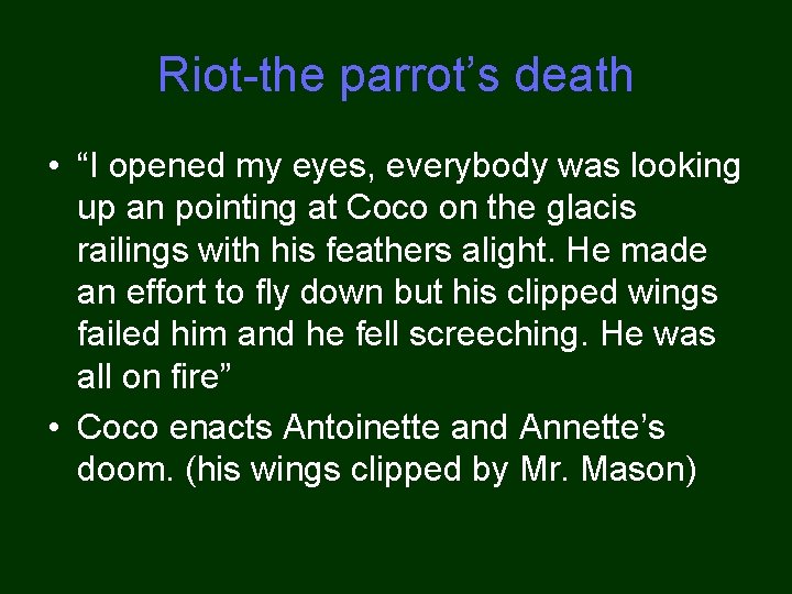 Riot-the parrot’s death • “I opened my eyes, everybody was looking up an pointing