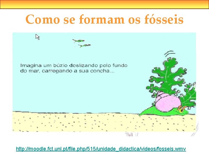 Como se formam os fósseis http: //moodle. fct. unl. pt/file. php/515/unidade_didactica/videos/fosseis. wmv 