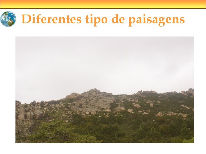 Diferentes tipo de paisagens 