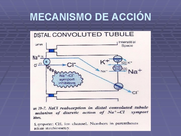 MECANISMO DE ACCIÓN MECANISMO DE ACCIÓN