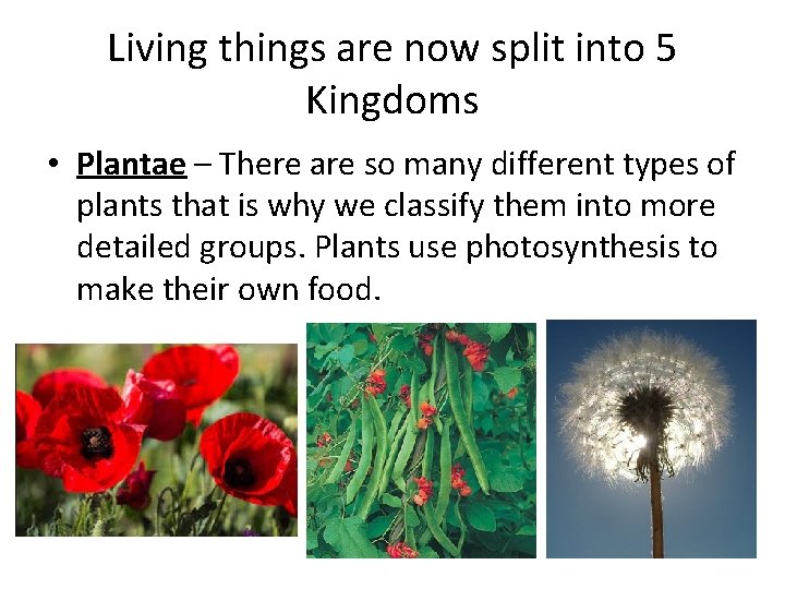 Living things are now split into 5 Kingdoms • Plantae – There are so