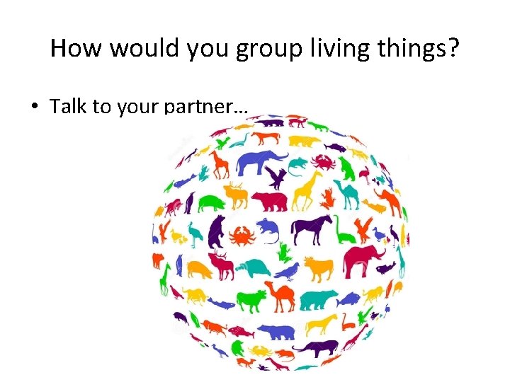 How would you group living things? • Talk to your partner… 