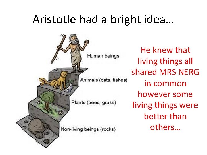 Aristotle had a bright idea… He knew that living things all shared MRS NERG
