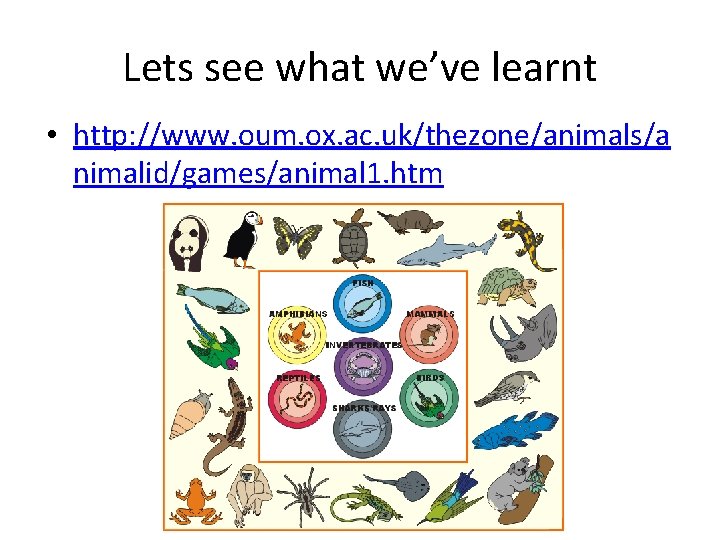 Lets see what we’ve learnt • http: //www. oum. ox. ac. uk/thezone/animals/a nimalid/games/animal 1.