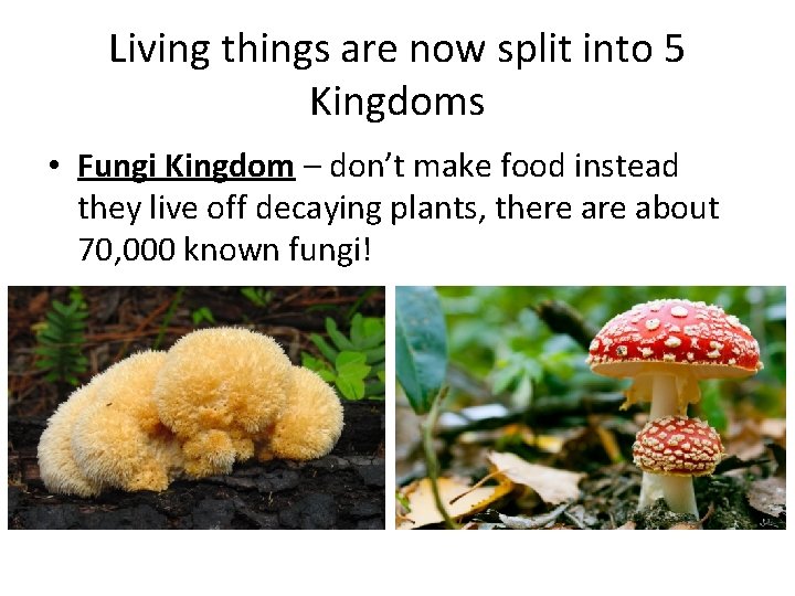 Living things are now split into 5 Kingdoms • Fungi Kingdom – don’t make