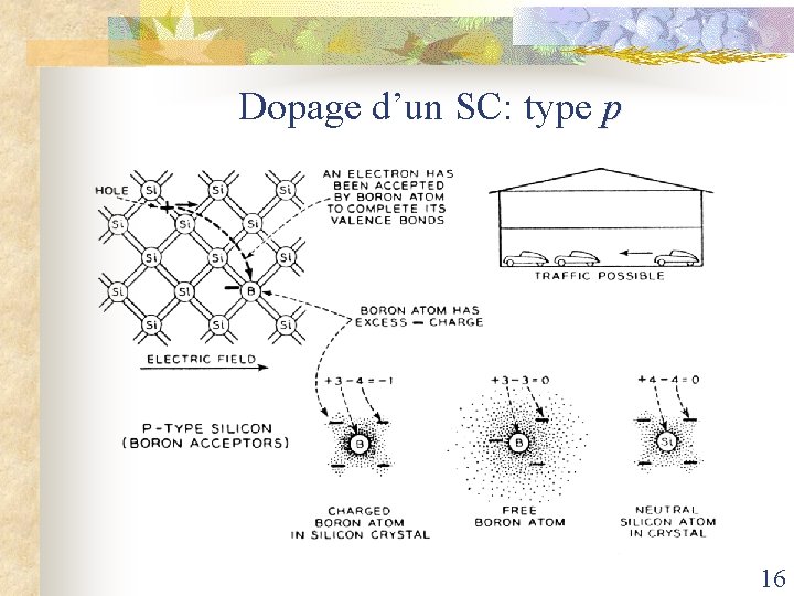 Dopage d’un SC: type p 16 