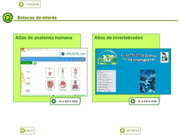 ESQUEMA Enlaces de interés Atlas de anatomía humana IR A ESTA WEB SALIR Atlas