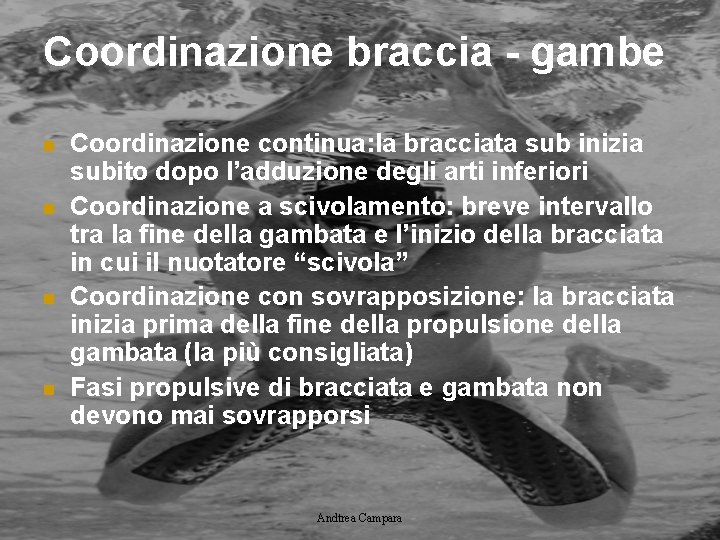 Coordinazione braccia - gambe n n Coordinazione continua: la bracciata sub inizia subito dopo