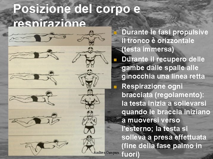 Posizione del corpo e respirazione n n n Andtrea Campara Durante le fasi propulsive