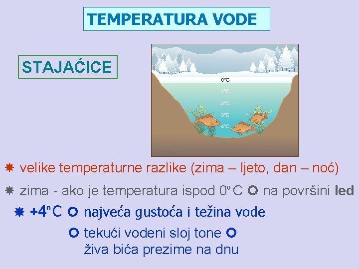 TEMPERATURA VODE STAJAĆICE velike temperaturne razlike (zima – ljeto, dan – noć) zima -