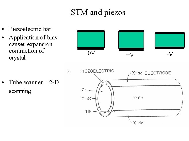 STM and piezos • Piezoelectric bar • Application of bias causes expansion contraction of