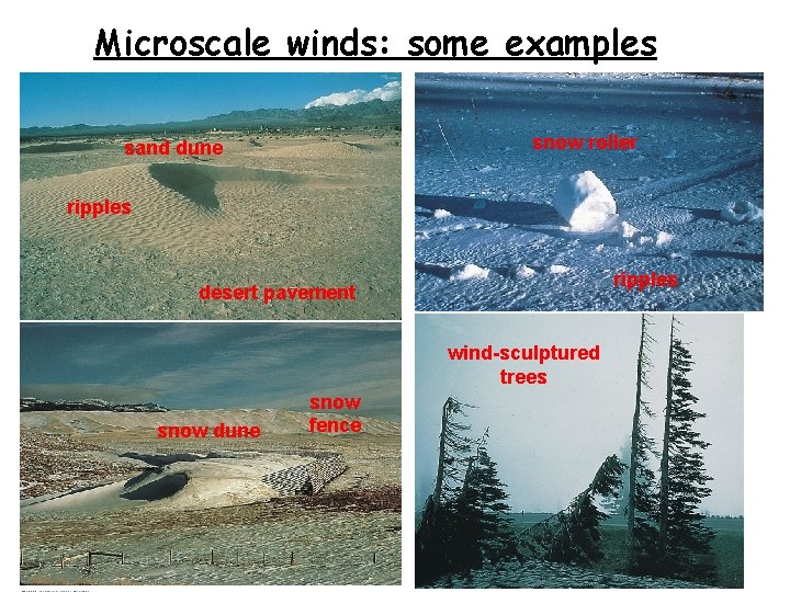 Microscale winds: some examples snow roller sand dune ripples desert pavement wind-sculptured trees snow