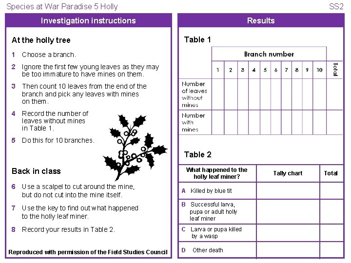 Species at War Paradise 5 Holly SS 2 Investigation instructions At the holly tree