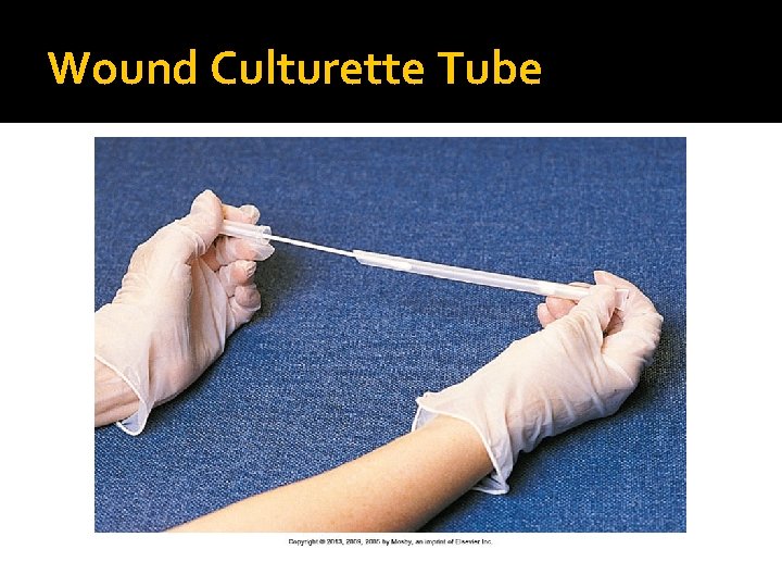 Wound Culturette Tube 