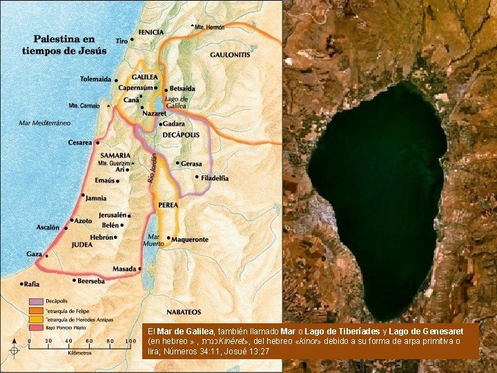 Galilea El Mar de Galilea, también llamado Mar o Lago de Tiberíades y Lago