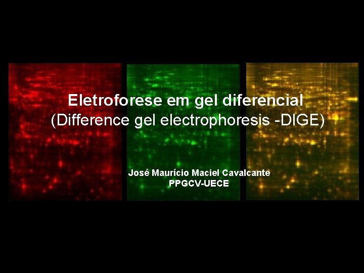 Eletroforese em gel diferencial (Difference gel electrophoresis -DIGE) José Maurício Maciel Cavalcante PPGCV-UECE 