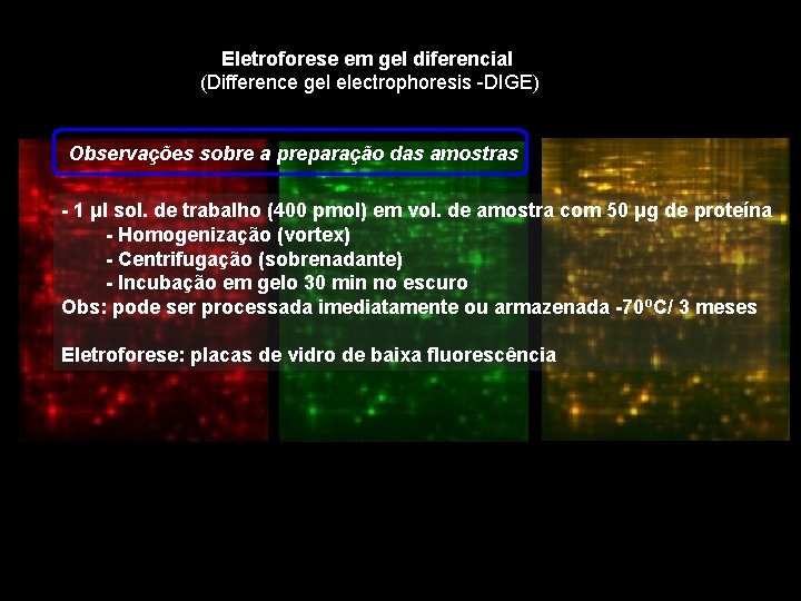 Eletroforese em gel diferencial (Difference gel electrophoresis -DIGE) Observações sobre a preparação das amostras