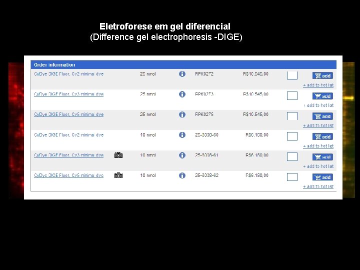 Eletroforese em gel diferencial (Difference gel electrophoresis -DIGE) 