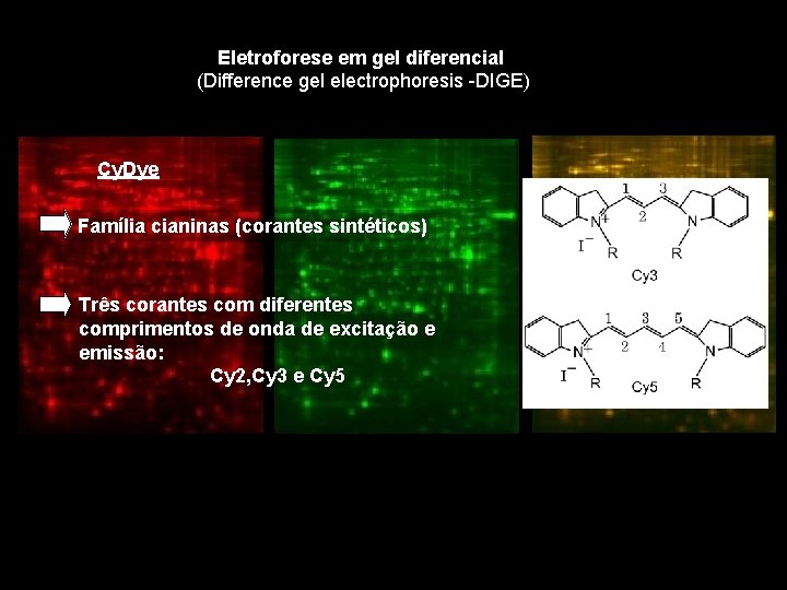 Eletroforese em gel diferencial (Difference gel electrophoresis -DIGE) Cy. Dye Família cianinas (corantes sintéticos)