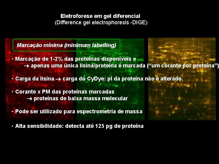 Eletroforese em gel diferencial (Difference gel electrophoresis -DIGE) Marcação mínima (minimum labelling) • Marcação