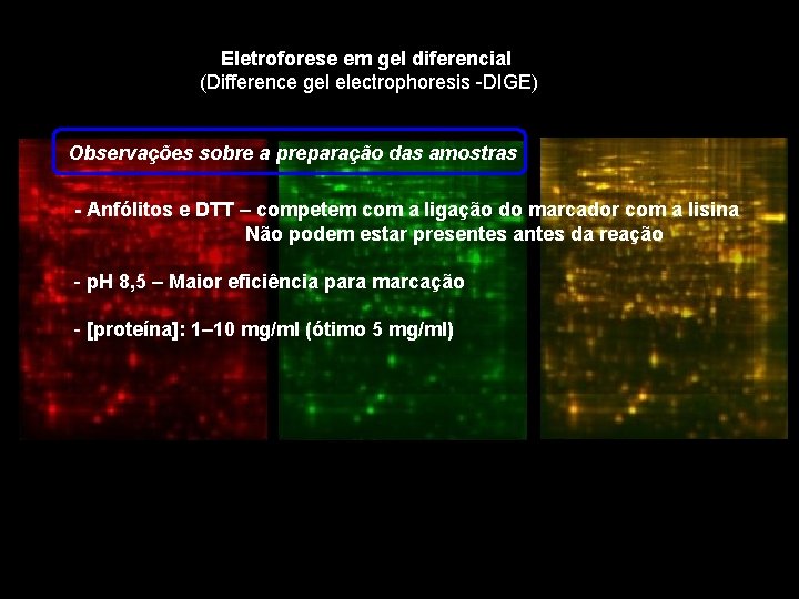 Eletroforese em gel diferencial (Difference gel electrophoresis -DIGE) Observações sobre a preparação das amostras