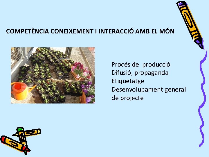 COMPETÈNCIA CONEIXEMENT I INTERACCIÓ AMB EL MÓN Procés de producció Difusió, propaganda Etiquetatge Desenvolupament