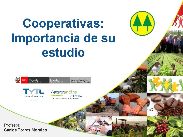 Cooperativas: Importancia de su estudio Profesor: Carlos Torres Morales 