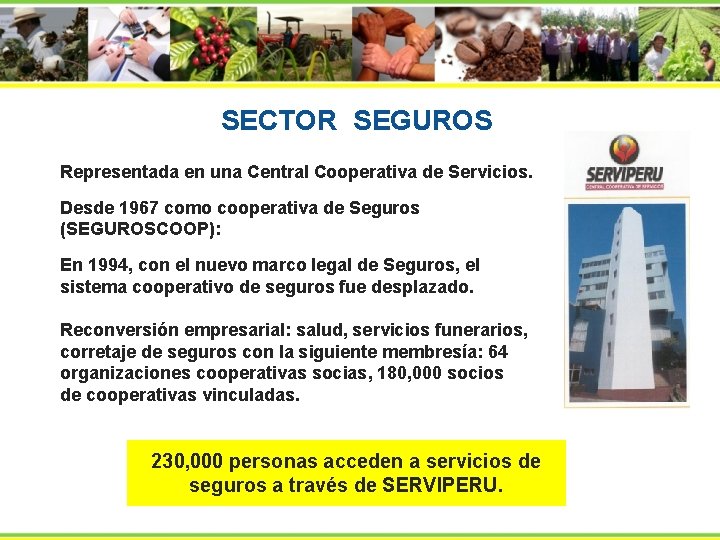 SECTOR SEGUROS Representada en una Central Cooperativa de Servicios. Desde 1967 como cooperativa de