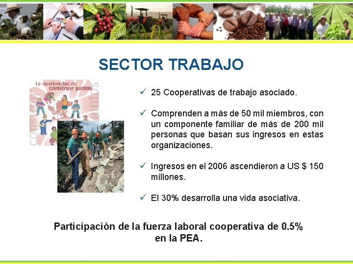 SECTOR TRABAJO ü 25 Cooperativas de trabajo asociado. ü Comprenden a más de 50