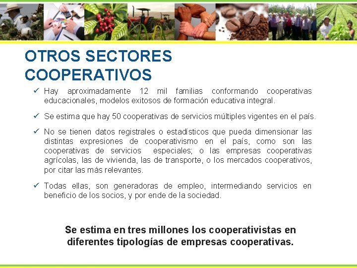 OTROS SECTORES COOPERATIVOS ü Hay aproximadamente 12 mil familias conformando cooperativas educacionales, modelos exitosos