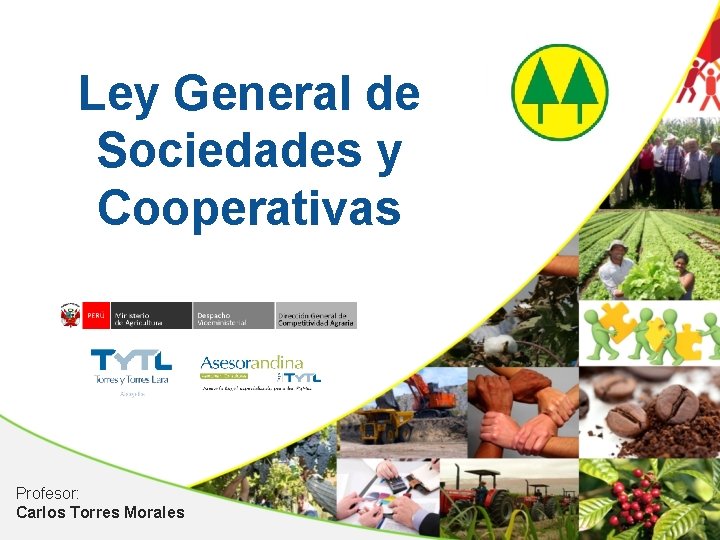 Ley General de Sociedades y Cooperativas Profesor: Carlos Torres Morales 
