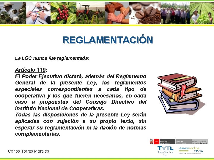 REGLAMENTACIÓN La LGC nunca fue reglamentada: Artículo 119: El Poder Ejecutivo dictará, además del