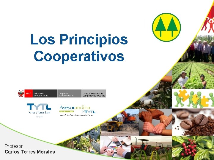 Los Principios Cooperativos Profesor: Carlos Torres Morales 
