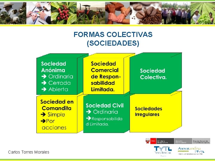 FORMAS COLECTIVAS (SOCIEDADES) Carlos Torres Morales 